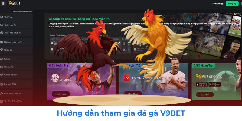 ĐÁ GÀ 2 Cách tham gia đá gà trực tuyến